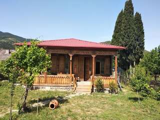 Дома для отпуска Ethno House Mtkvaragvi Zahesi-0