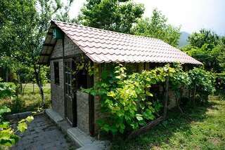 Дома для отпуска Ethno House Mtkvaragvi Zahesi Дом с 3 спальнями-20